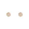 Achetez le bijoux Flowers Studs - Diamond - Silver925 chez Dreamgold Paris