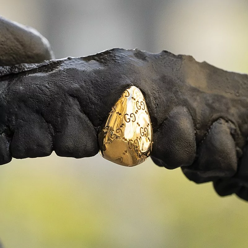 Achetez le bijoux Grillz 1 dent + gravure - Or 18K chez Dreamgold Paris