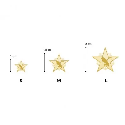Achetez le bijoux ETOILE MARTINIQUE 18K chez Dreamgold Paris